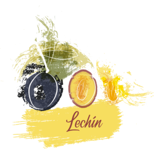 Lechin