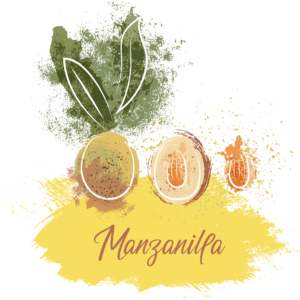 Manzanilla Oliva