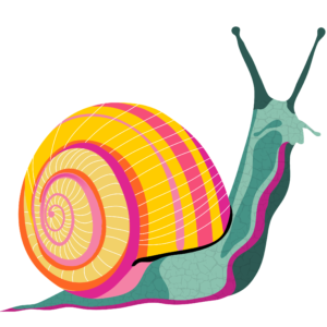 CARACOL_POP_v1