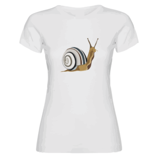 CARACOL - MUJER - NOVEDADES
