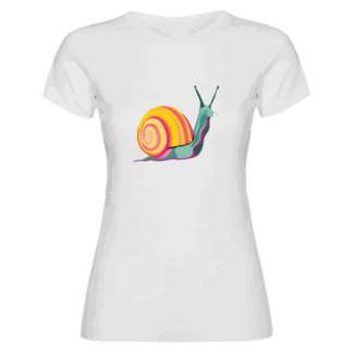 CARACOL POP - MUJER - NOVEDADES