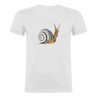CARACOL - UNISEX - NOVEDADES